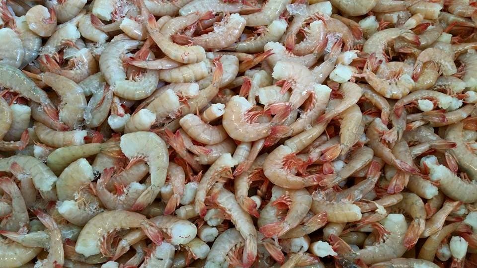 Frozen Shrimp _USA Gulf Coast Origin_ __ Price Per Kg CIF _